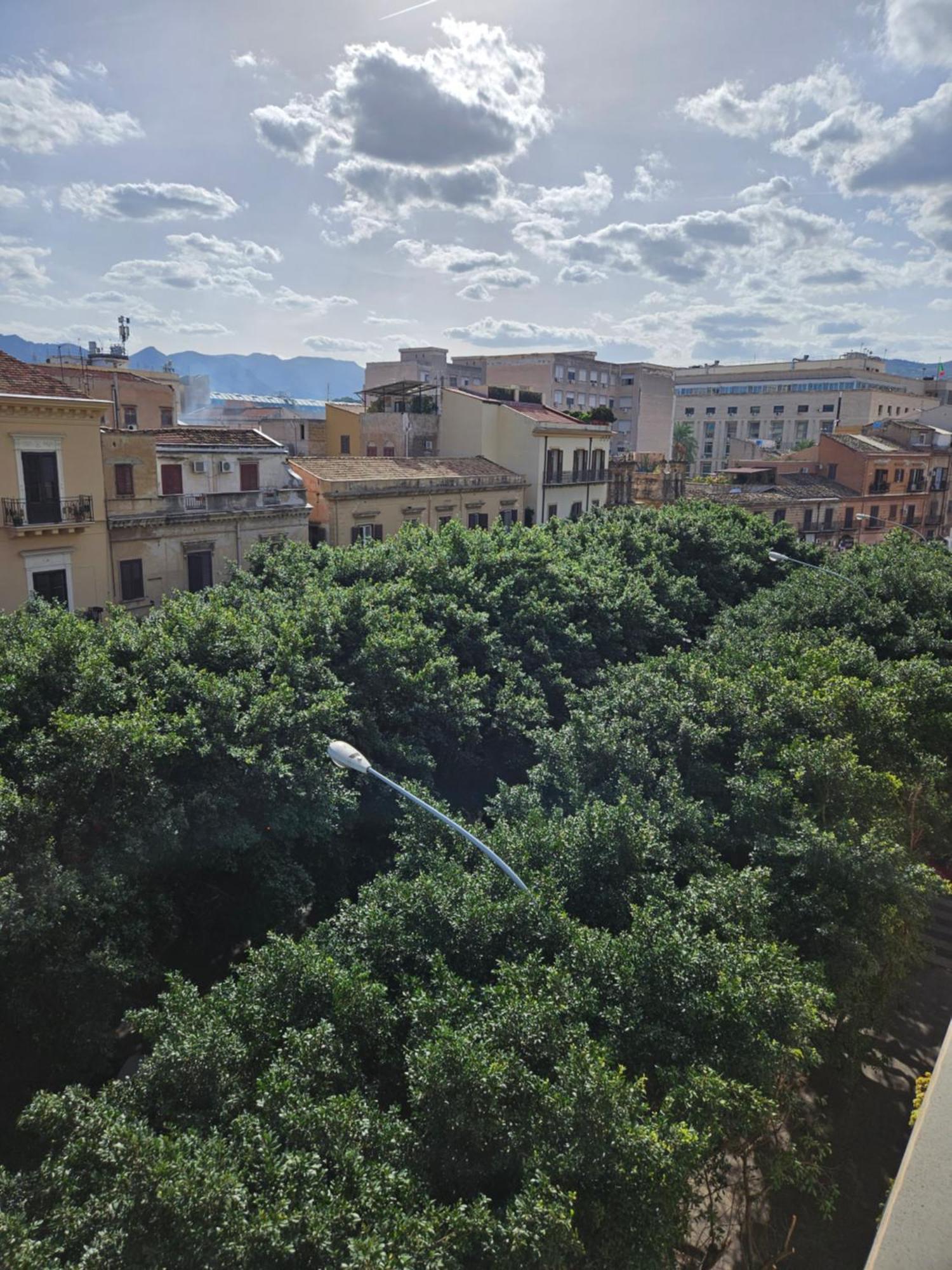 Terrazza Massimo Lejlighed Palermo Eksteriør billede